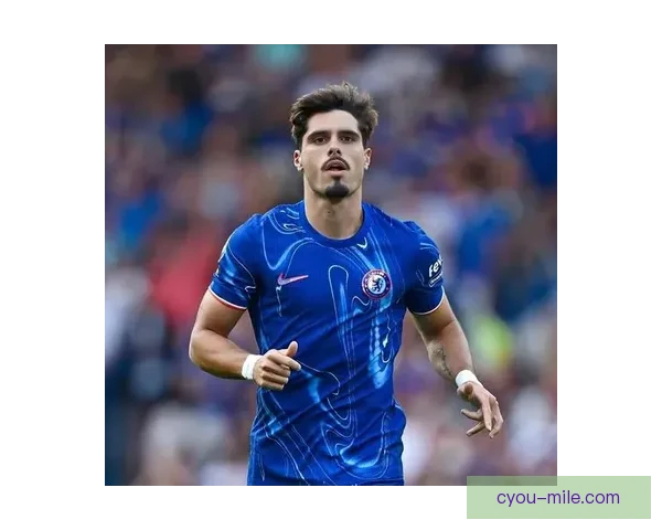 切尔西夏季重磅引援内托加盟狼队边锋交易价5400万英镑