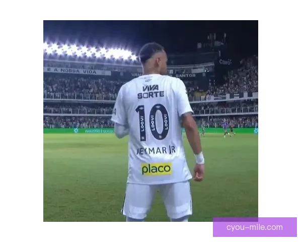 博塔弗戈巴甲赛季领先13分却在最后11轮未尝一胜痛失冠军的悲剧