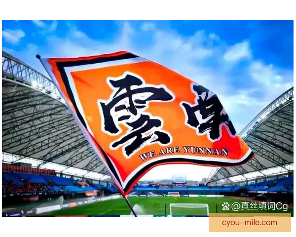云南玉昆勇夺中甲冠军实现历史跨越升入中超开启西南足球新篇章