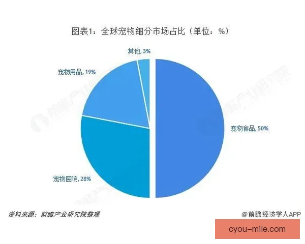 从整体竞争格局视角评估欧冠赛事综合竞争力演变现状趋势与影响分析