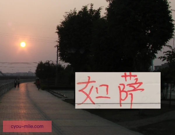 后防组合迎名宿回归，球队防守稳定性与经验提升
